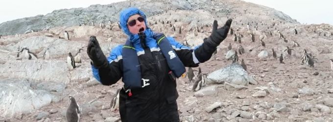STAGE TUBE: Penguins Scatter From Opera Singer's Aria Video