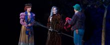 Flash: First Look at Emily Skinner, Nick Bailey, Jeremy Hays and More in INTO THE WOO