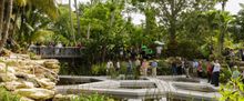 Flash: Mounts Botanical Garden Dedicates New Windows on the Floating World
