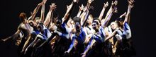 Flash: 120 Talented Young Performers Hit the Stage at 2016 FLORIDA YOUTH DANCE GALA