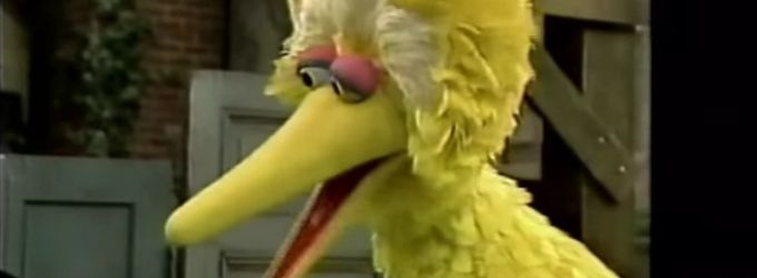 VIDEO: JIMMY KIMMEL Presents 'Seasame Street'/'True Detective' Mash-Up Video