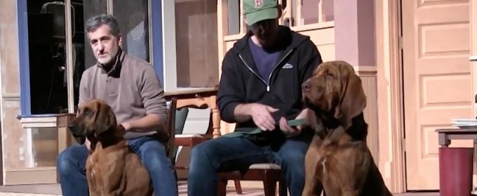 STAGE TUBE: Broadway Animal Trainer Bill Berloni Tames Hounds in A CHRISTMAS STORY… Video