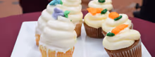 Flash: Justin Guarini Hosts Cupcake-Off at Bucks County Playhouse in Honor of CAKE OF