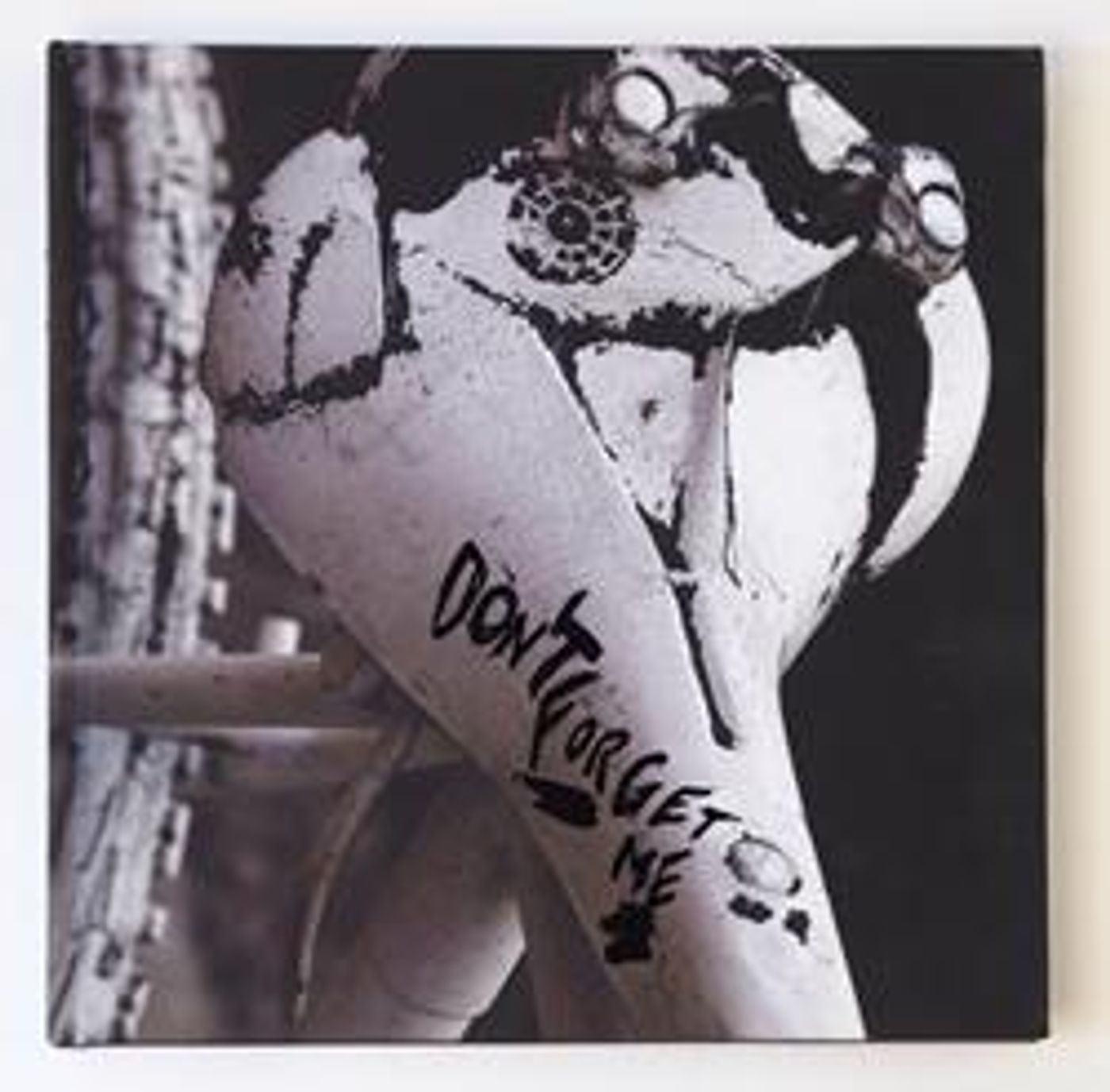 Photographer Genea Barnes Releases Art Book on Ghost Bike Images Photographer Genea Barnes Releases Art Book on Ghost Bike Images Image