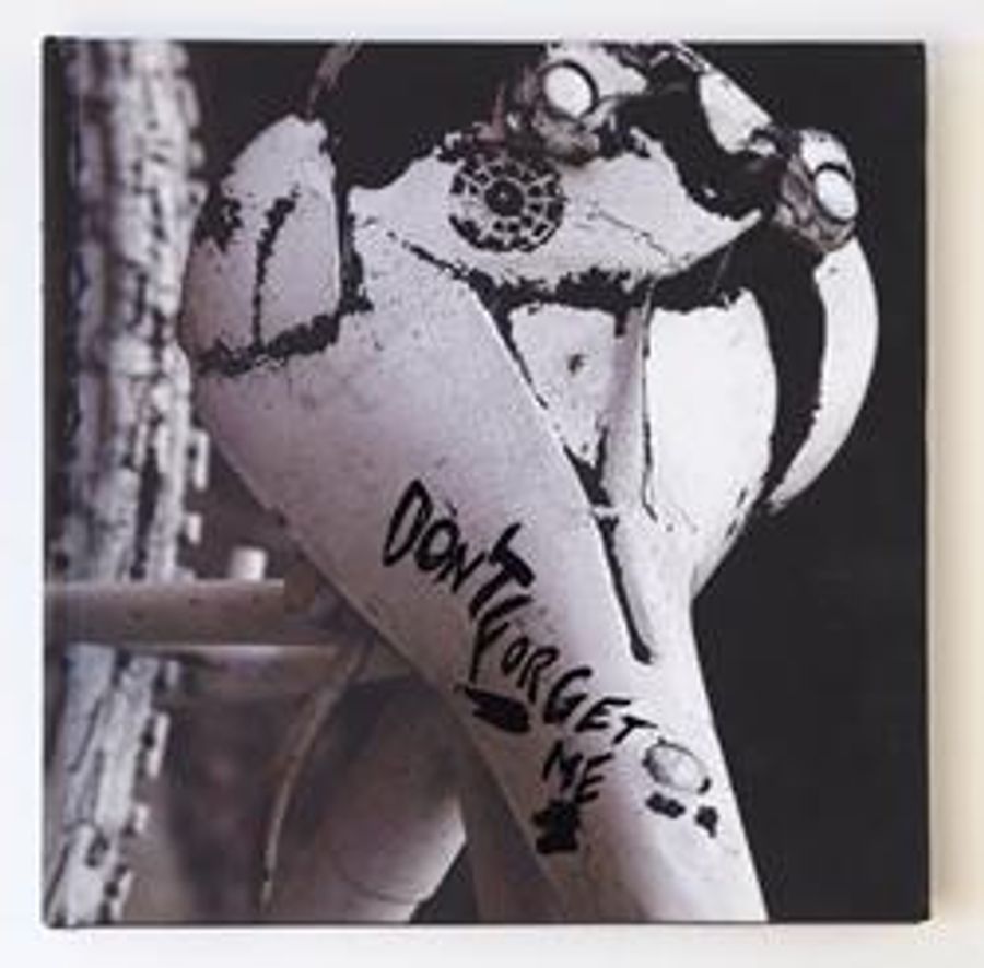 Photographer Genea Barnes Releases Art Book on Ghost Bike Images Image