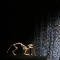 Photo Flash: Bridge Street Theatre presents THE EFFECT OF GAMMA RAYS ON…