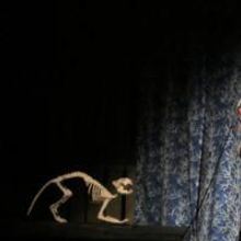 Photo Flash: Bridge Street Theatre presents THE EFFECT OF GAMMA RAYS ON MAN-IN-THE-MO