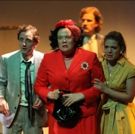 BWW Review: The One Note Play Deflates This RHINOCEROS