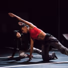 New York Live Arts Announces 'Creating in Confusing Times' 2017-18 Season