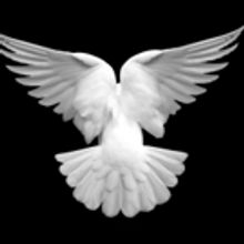 Clive Merrison and Issy Van Randwyck Star in Judith Burnley's ANYTHING THAT FLIES