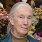 The Old Vic Presents VOICES OFF with Dr. Jane Goodall