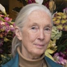 The Old Vic Presents VOICES OFF with Dr. Jane Goodall