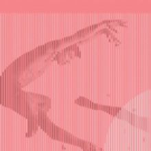 Australian Dance Awards 2017 Announce Full Line Up Of Performances, Presenters and Ho