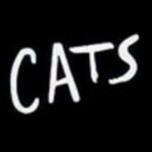 Chad-Alan Carr, Greg Trax, Michelle Latta, Linden Carbaugh, Max Carlson, Madison Prin