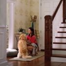 Olivia Munn Invests in Dog Walking App Wag!, Joins Company as Creative Strategist