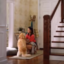 Olivia Munn Invests in Dog Walking App Wag!, Joins Company as Creative Strategist