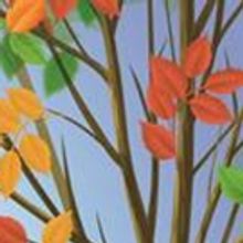 TUESDAYS WITH MORRIE Opens NJT'S Third Decade