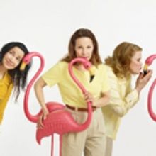 BWW Flashback: MARVIN'S ROOM Takes Final Broadway Bow Today!