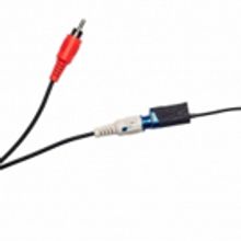 Faith Holland's SPECULATIVE FETISH Debuts at TRANSFER