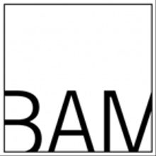 BAM Releases Extensive Historical Online Database of Archive Materials