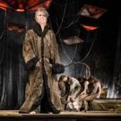 Physical Theater Virtuoso James Thierree to Bring LA GRENOUILLE AVAIT RAISON to BAM