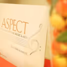 ASPECT Foundation for Music & Arts Announces 2017/2018 Season