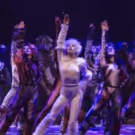 CATS Leaps Into Frankfurt On August 23