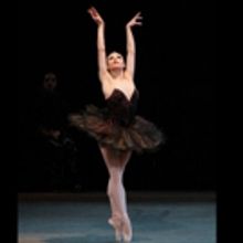 BWW Review: NYCB's Swan Lake Is a Vision