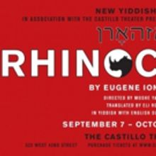 New Yiddish Rep's RHINOCEROS Enters Final Week Off-Broadway