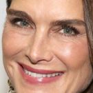 Brooke Shields to Guest Star in Season 19 of LAW AND ORDER: SVU
