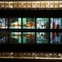 dreamthinkspeak to Bring ONE DAY, MAYBE to Hull City Centre This Autumn