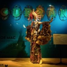 Photo Flash: Costume Designer Machine Dazzle Decks Out Neiman Marcus Windows for Tayl