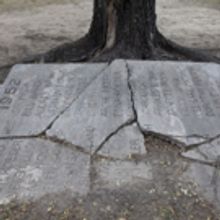 Aaron Turner Photo Exhibit to Open at MCCC's Trenton Gallery