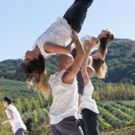 FALL FOR ART: ODC at McEvoy Ranch this October