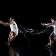 25 Choreographers to Take Part in Dance Gallery Festival's 11th Year in NYC