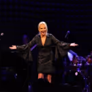 Photo Flash: Kristin Chenoweth and More Celebrate Kathy Najimy with GMHC