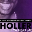 BWW Review: HOLLER IF YA HEAR ME at Kenny Leon's True Colors Theatre Company