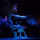 Photo Flash: WOW - WORLD OF WONDER Makes a Splash at the Rio on Opening Night
