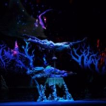 Photo Flash: WOW - WORLD OF WONDER Makes a Splash at the Rio on Opening Night