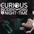 'CURIOUS INCIDENT, Starring Autistic Actor, Opens This Month at Syracuse Stage
