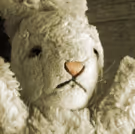 Lively, Global Sensation WHITE RABBIT, RED RABBIT Comes to Town Hall Theater