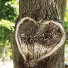 First Folio Theatre Presents William Shakespeare's AS YOU LIKE IT