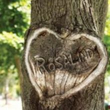 First Folio Theatre Presents William Shakespeare's AS YOU LIKE IT