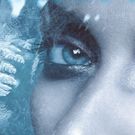 Excerpt from FROST SERIES OMNIBUS by Liz DeJesus