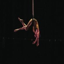 Acrobatic Conundrum to Bring LOVE AND GRAVITY to Colorado This Fall