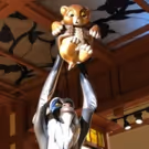 John Favreau Shares First Look at Live-Action LION KING at D23 Expo
