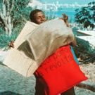Helio Oiticica Comes to the Whitney Museum of American Art