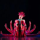 BWW Review: MOMIX's OPUS CACTUS is a Revelation