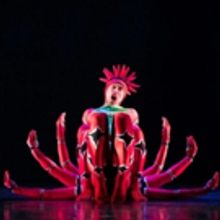BWW Review: MOMIX's OPUS CACTUS is a Revelation