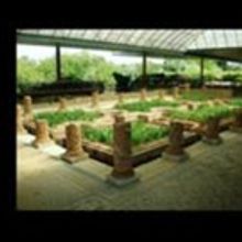 Travel To Portugal With The International Surrealism Now 2017